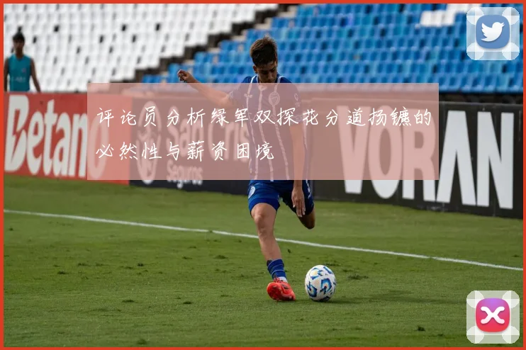评论员分析绿军双探花分道扬镳的必然性与薪资困境
